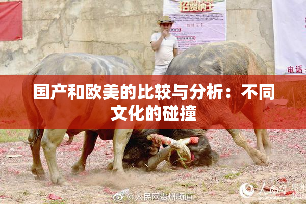 国产和欧美的比较与分析：不同文化的碰撞
