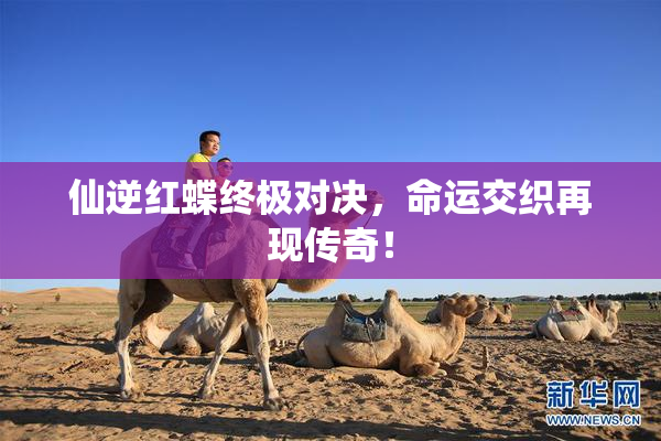 仙逆红蝶终极对决，命运交织再现传奇！