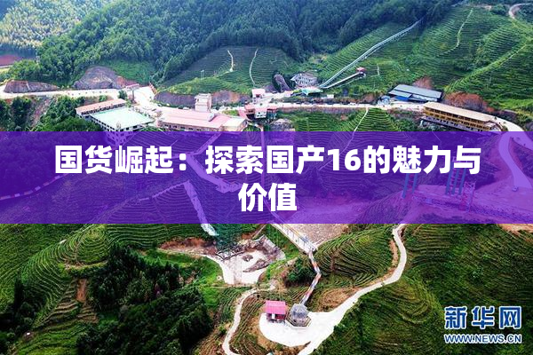 国货崛起：探索国产16的魅力与价值