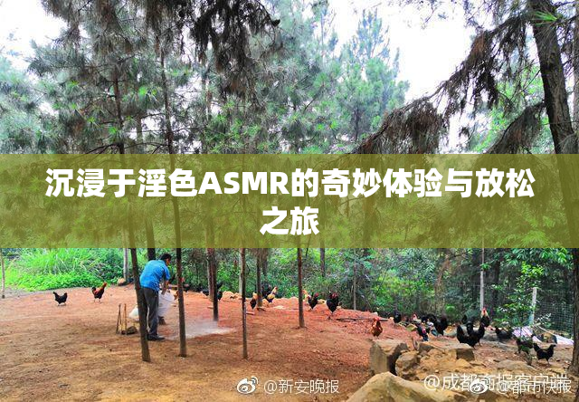 沉浸于淫色ASMR的奇妙体验与放松之旅
