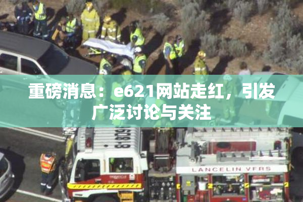 重磅消息：e621网站走红，引发广泛讨论与关注