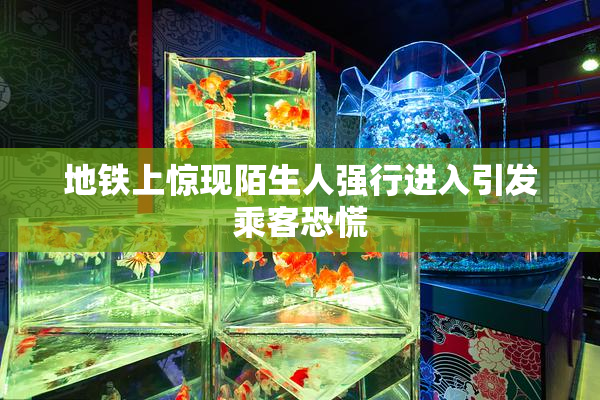 地铁上惊现陌生人强行进入引发乘客恐慌