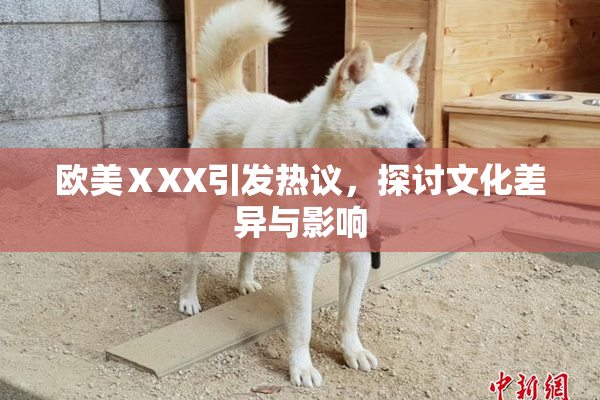 欧美ⅩXX引发热议，探讨文化差异与影响