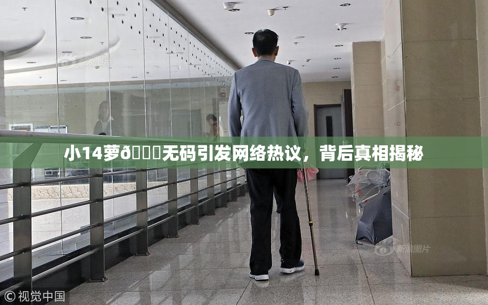 小14萝🔞无码引发网络热议，背后真相揭秘