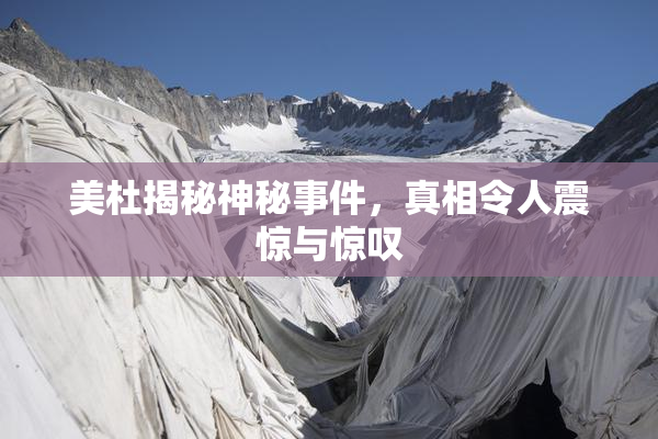 美杜揭秘神秘事件，真相令人震惊与惊叹