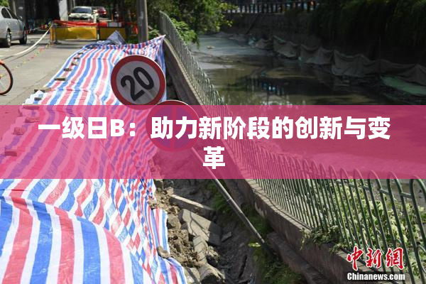 一级日B：助力新阶段的创新与变革