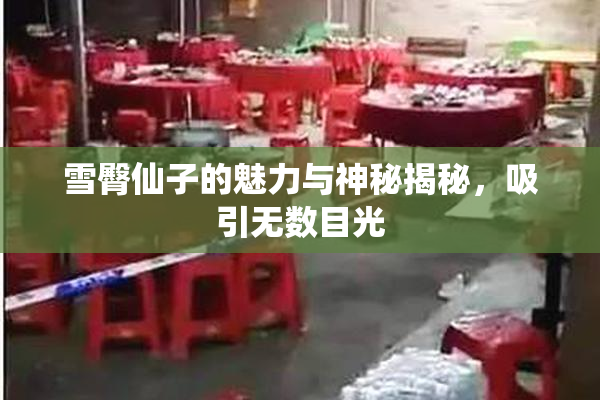 雪臀仙子的魅力与神秘揭秘，吸引无数目光