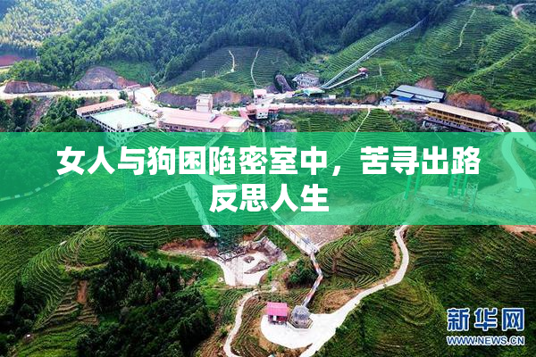 女人与狗困陷密室中，苦寻出路反思人生