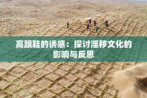 高跟鞋的诱惑：探讨淫秽文化的影响与反思