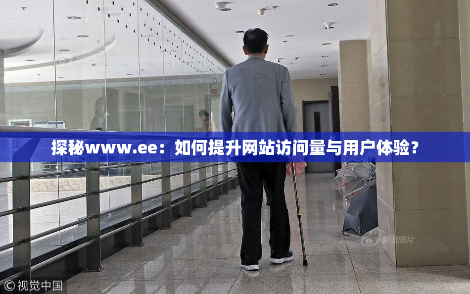 探秘www.ee：如何提升网站访问量与用户体验？