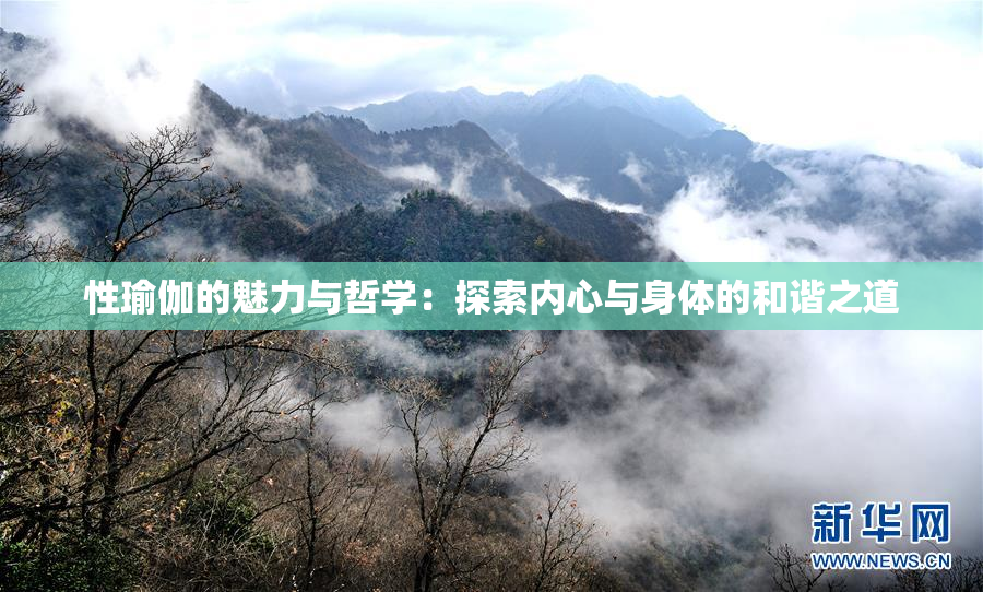性瑜伽的魅力与哲学：探索内心与身体的和谐之道
