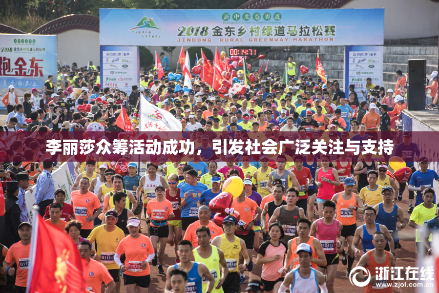 李丽莎众筹活动成功，引发社会广泛关注与支持