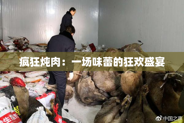 疯狂炖肉：一场味蕾的狂欢盛宴