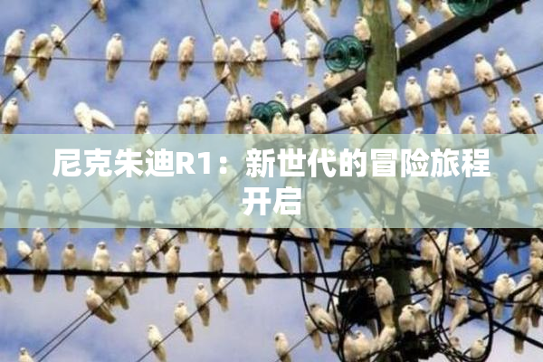 尼克朱迪R1：新世代的冒险旅程开启