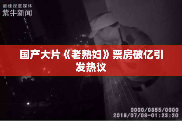 国产大片《老熟妇》票房破亿引发热议