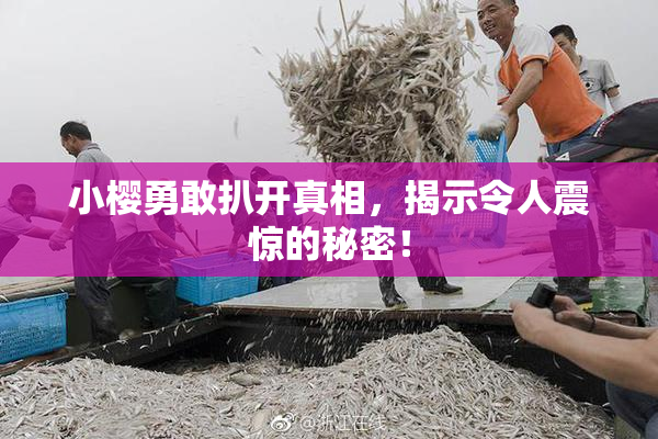小樱勇敢扒开真相，揭示令人震惊的秘密！