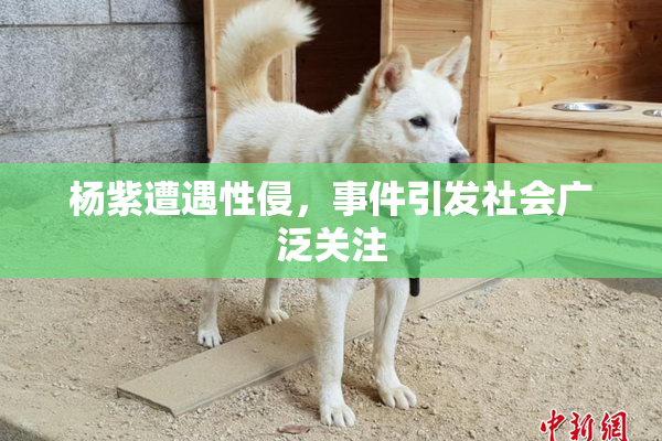杨紫遭遇性侵，事件引发社会广泛关注