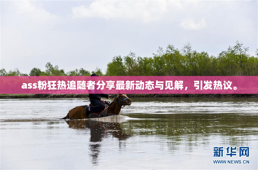 ass粉狂热追随者分享最新动态与见解，引发热议。