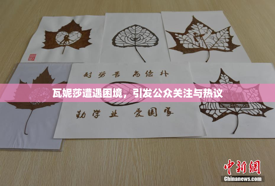 瓦妮莎遭遇困境，引发公众关注与热议