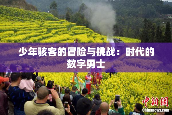 少年骇客的冒险与挑战：时代的数字勇士