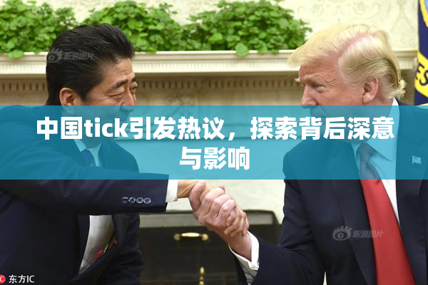 中国tick引发热议，探索背后深意与影响
