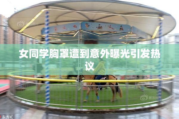 女同学胸罩遭到意外曝光引发热议