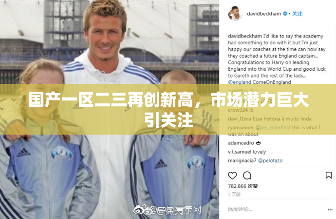 国产一区二三再创新高，市场潜力巨大引关注