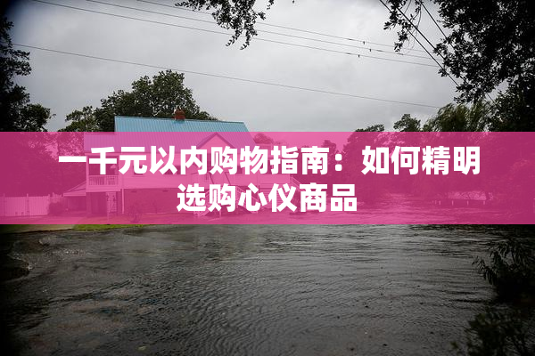 一千元以内购物指南：如何精明选购心仪商品