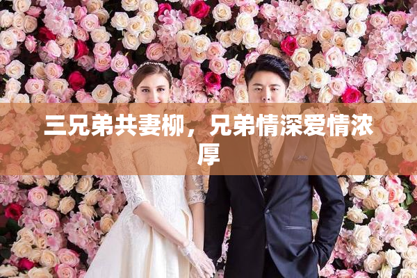 三兄弟共妻柳，兄弟情深爱情浓厚