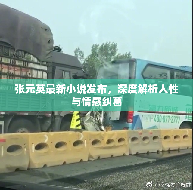 张元英最新小说发布，深度解析人性与情感纠葛