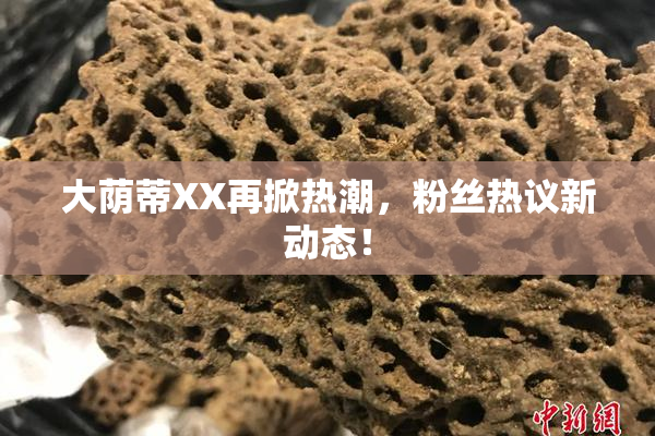 大荫蒂XX再掀热潮，粉丝热议新动态！