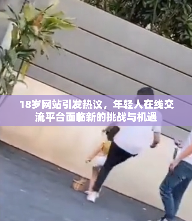 18岁网站引发热议，年轻人在线交流平台面临新的挑战与机遇