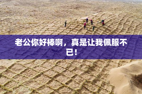 老公你好棒啊，真是让我佩服不已！
