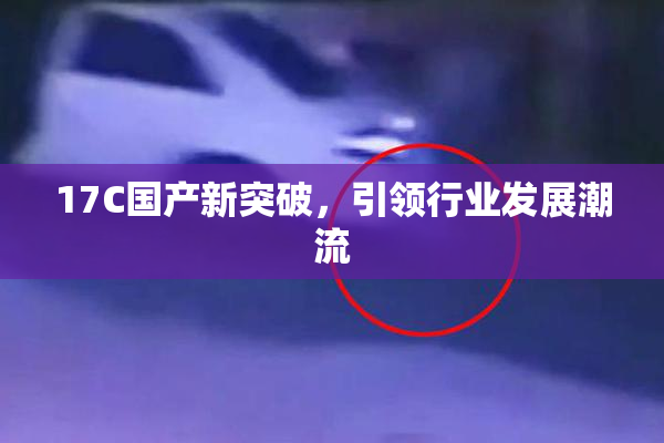 17C国产新突破，引领行业发展潮流