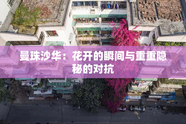 曼珠沙华：花开的瞬间与重重隐秘的对抗