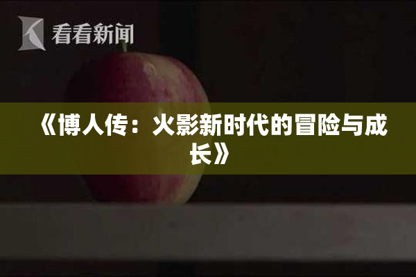 《博人传：火影新时代的冒险与成长》