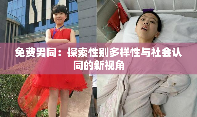 免费男同：探索性别多样性与社会认同的新视角