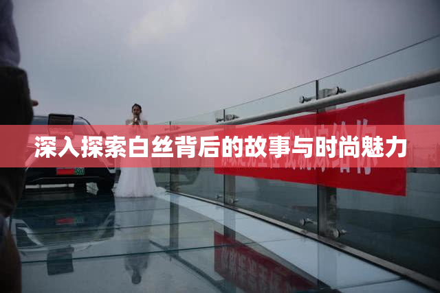 深入探索白丝背后的故事与时尚魅力