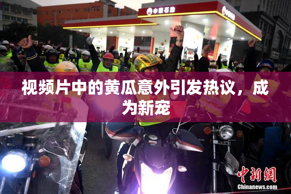 视频片中的黄瓜意外引发热议，成为新宠