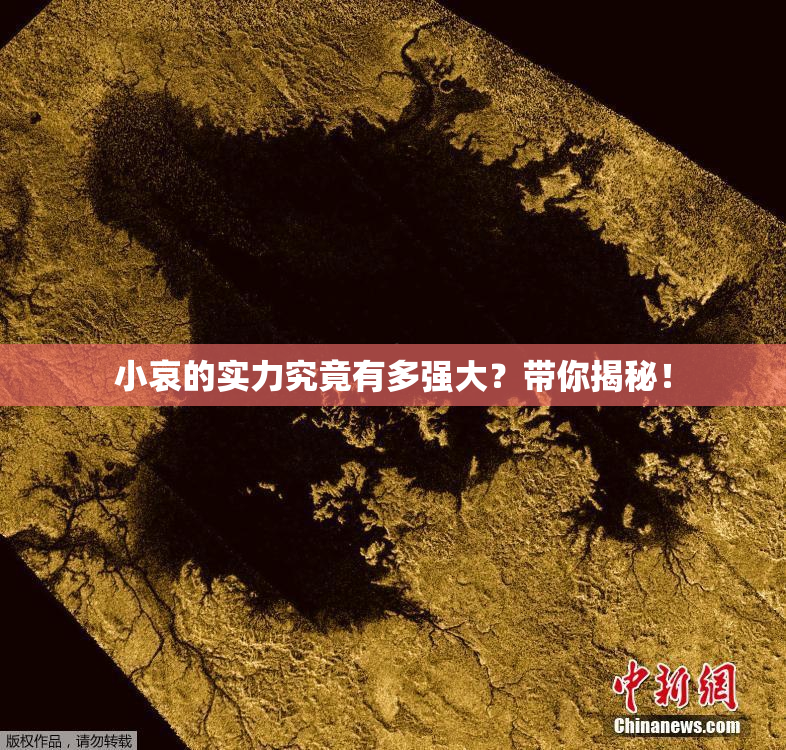 小哀的实力究竟有多强大？带你揭秘！