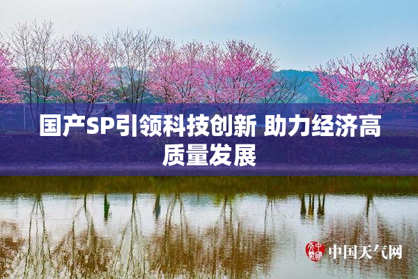 国产SP引领科技创新 助力经济高质量发展