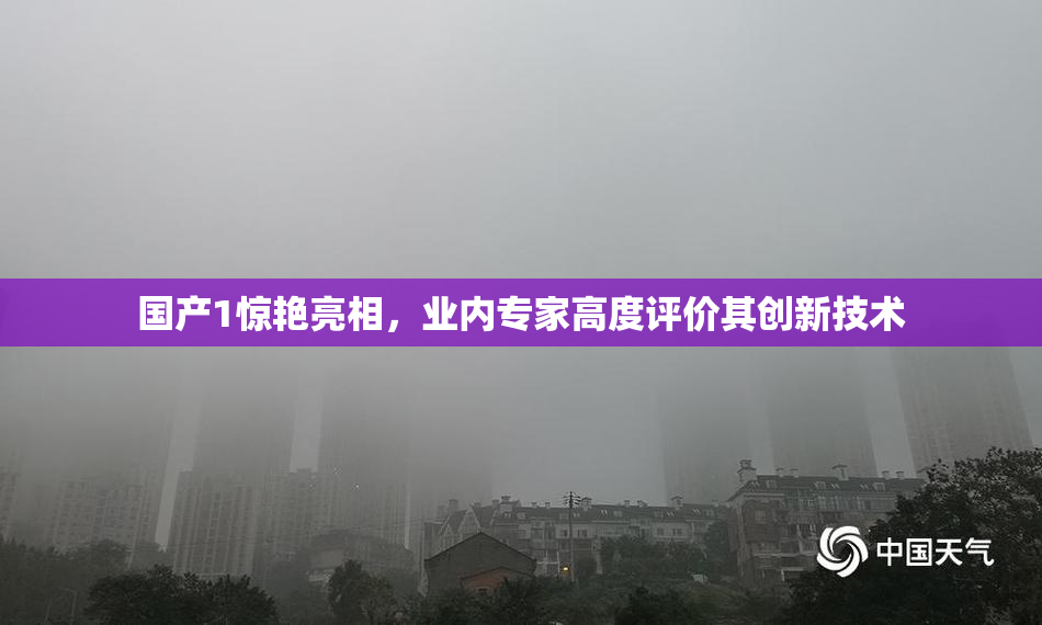 国产1惊艳亮相，业内专家高度评价其创新技术