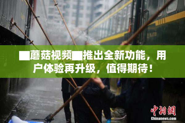 ▇蘑菇视频▇推出全新功能，用户体验再升级，值得期待！