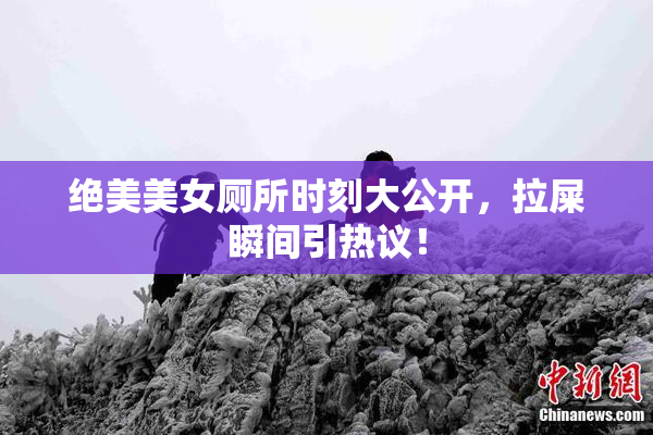 绝美美女厕所时刻大公开，拉屎瞬间引热议！