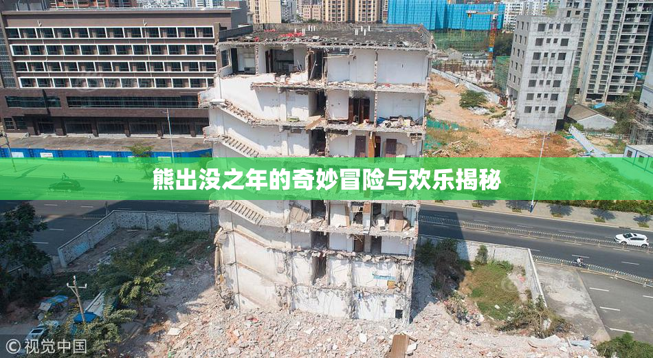 熊出没之年的奇妙冒险与欢乐揭秘