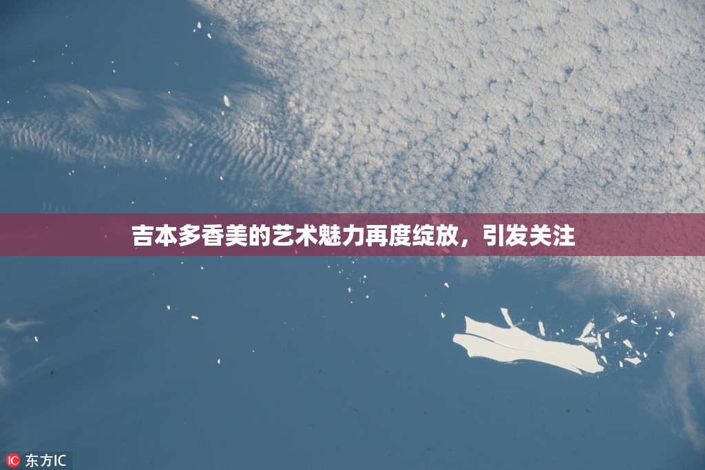 吉本多香美的艺术魅力再度绽放，引发关注