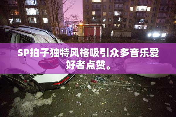SP拍子独特风格吸引众多音乐爱好者点赞。