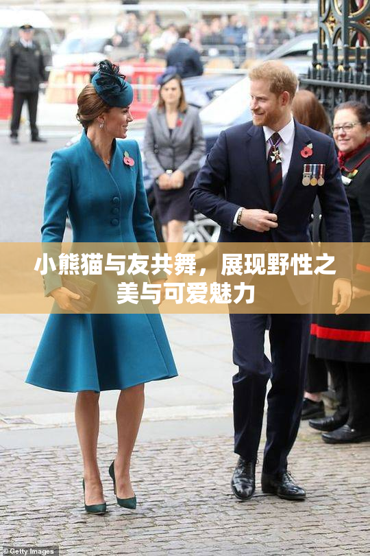 小熊猫与友共舞，展现野性之美与可爱魅力