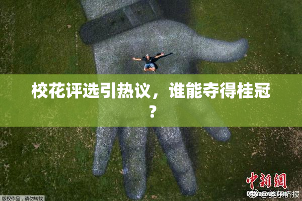 校花评选引热议，谁能夺得桂冠？