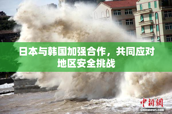 日本与韩国加强合作，共同应对地区安全挑战
